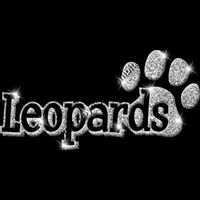 GLT17 SILVER GLITTER Thumbnail