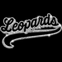 GLT78 SILVER GLITTER Thumbnail